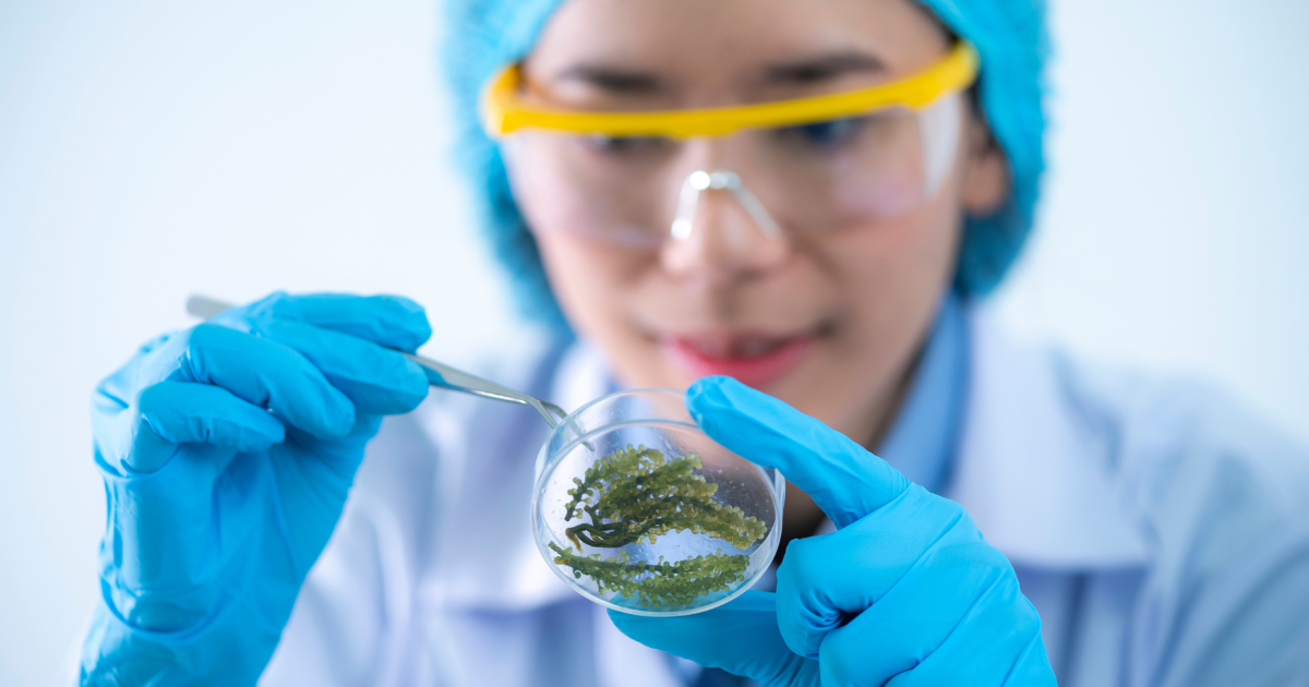 Where to Buy 7-Hydroxymitragynine Online Safely 