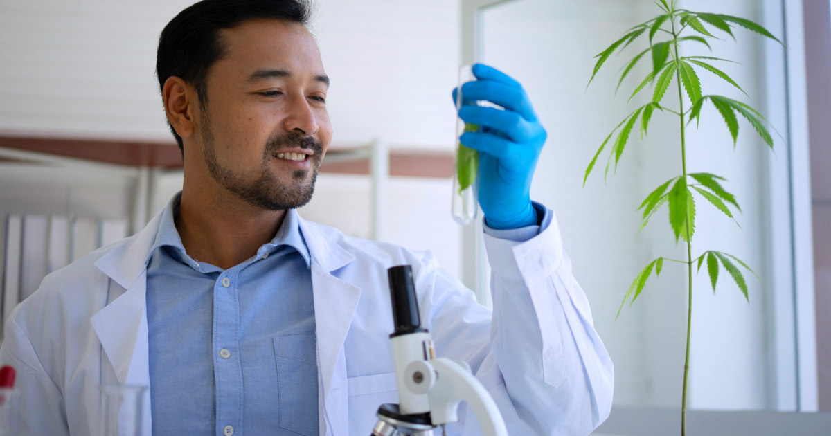 Can 7-OH Be Synthetic? What You Need To Know