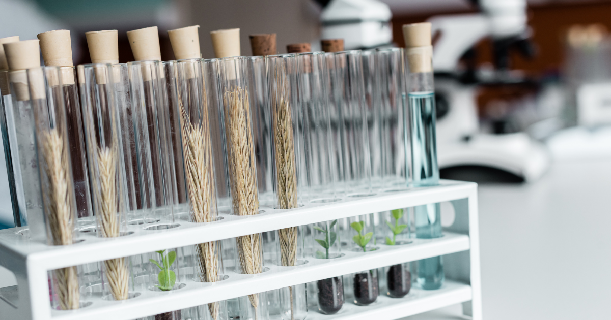 7‑OH and Prescription Medications: What You Really Need to Avoid